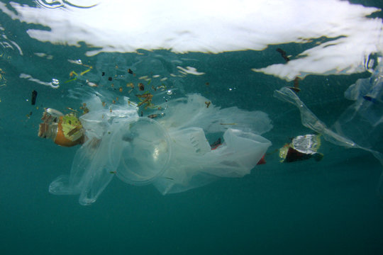 Plastic bags, bottles, cups and straws pollution in ocean	