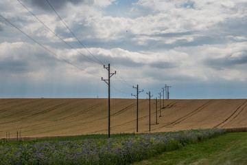 Fototapeta na wymiar Strommasten ziehen sich durchs Feld