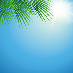 Obraz na płótnie Canvas sunny summer day background with palm leaf vector illustration EPS10