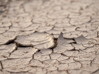 Land in the cracks of signs of drought    This image is suitable for use with content related to shortages, drought, inequality, disadvantage, water management, importance of water and etc.