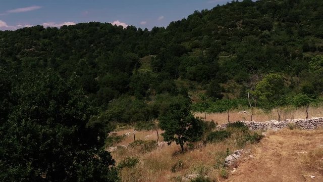 Aerial view of Mountain forest in Perithia, Greece.