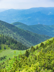 Beautiful view of the mountains on a sunny day in the summer. Western Carpathians, Slovakia, Little Fatra.
