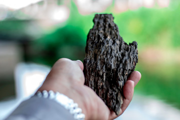 The wooden handle that was destroyed by termites