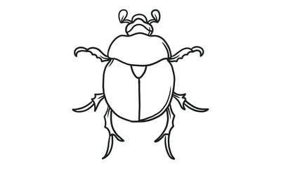 Vector lineart illustration of beetles on white background, hand drawn Japanese horned beetle bug insect sketch