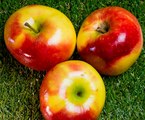 Apples on green grass and with blue sky background