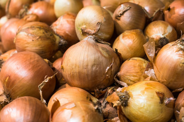 fresh harvest of onions on the supermarket counter