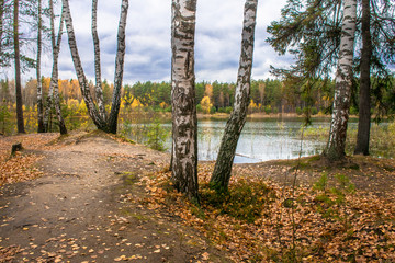 Obraz premium Beautiful forest lake old quarry rainy and gloomy autumn day