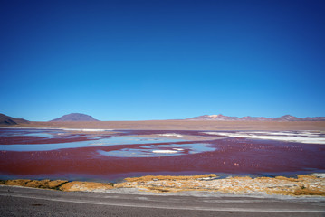 View of Laguna Colorada, colorful salt lake in Sur Lipez province, Potosi, Bolivia