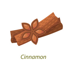 Cinnamon sticks isolated on white background realistic anise stars.