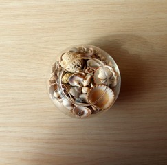 Vase with shells