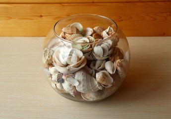 Vase with shells