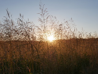 Sonnenuntergang Land