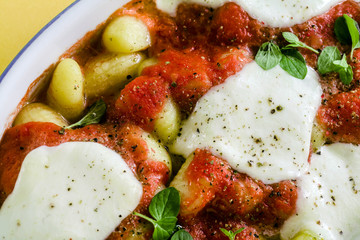 italian traditional gnocchi alla sorrentina with melted cheese and tomato sauce on a yellow background