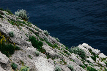 Beautiful sea harbor surrounded by cliffs overgrown with plants. Clear seawater and visible seabed....