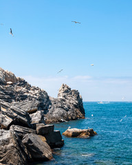 Fototapeta na wymiar Portovenere, Italy. Seaside village with the famous gulf of poets that inspired the poems of Byron, a popular tourist destination for beach holidays and tracking in unspoiled nature. Gulf of poets..
