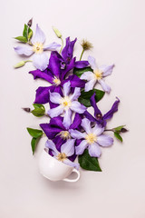 Creative layout made with beautiful flowers. Purple flowers come out of white cup