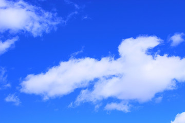 Obraz premium Cumulus in the form of a dragon. Background. Landscape.