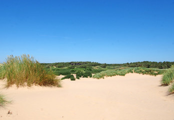 the beach at formby merseyside with dunes covered in marram grass and vegetation with forest landscape visible in the distance on a bright summer day