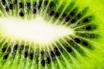 Close up fresh kiwi tropical fruit background. Natural kiwi fruit texture.