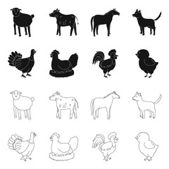 Isolated object of breeding and kitchen sign. Collection of breeding and organic vector icon for stock.