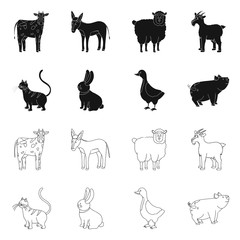 Vector illustration of breeding and kitchen icon. Collection of breeding and organic vector icon for stock.