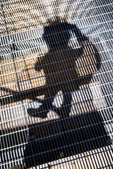 Personal shadow on metal grating