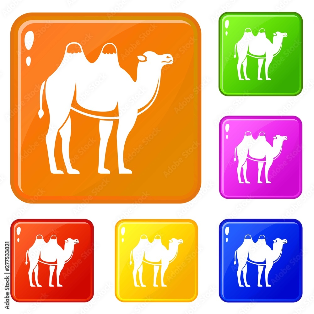 Poster camel icons set collection vector 6 color isolated on white background