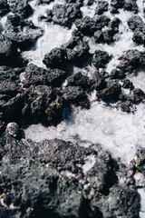 Ocean Salt On Lava Rocks