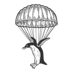Penguin bird fly with parachute as paratrooper sketch engraving vector illustration. Scratch board style imitation. Hand drawn image.
