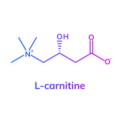 L-carnitine chemical formula on white background