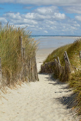 Fototapeta na wymiar a sandy path leads trough dune grass to a sand dune beach