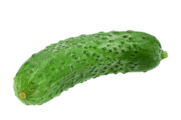 Cucumber vegetable