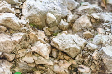 gray stone texture granite background, closeup top view