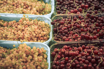 White and red berries at the weekend farmer's market