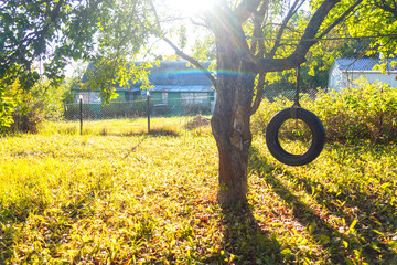 Tire swing hanging from a tree in a summer garden. Concept photo of happy childhood, nostalgia,...