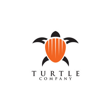 Turtle logo design vector template