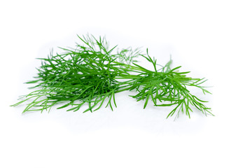 Bunch fresh green dill on white background. .Dill on white background.