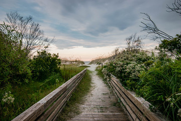 beach path