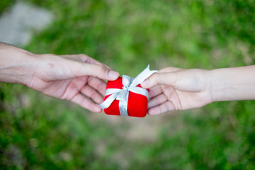 giving red gift box in with hands On special days for special person, on grass background. Wedding...