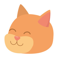 Cat cartoon design vector illustrator