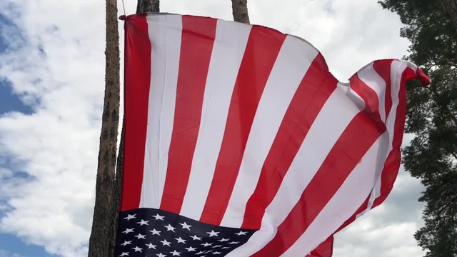 American Flag In The Yard. The Flag Flutters Over A Green Lawn And A Blue Sky Between Two Trees. Independence Day.