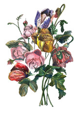 watercolor flowers on white background