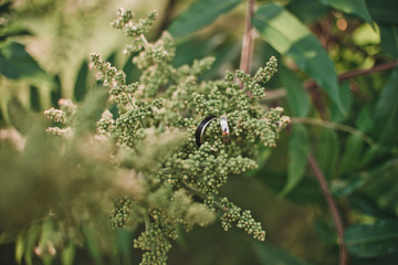 original wooden wedding rings 