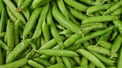 Fresh pea pods as background. Top view.