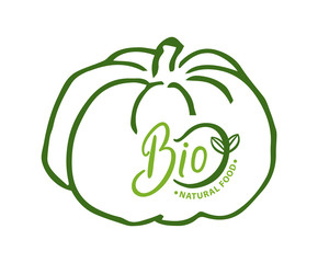 Pumpkin organic ingredients and food vector, bio meal fresh veggie, natural vegetable ecologically clean plant and production. Sketch with inscription