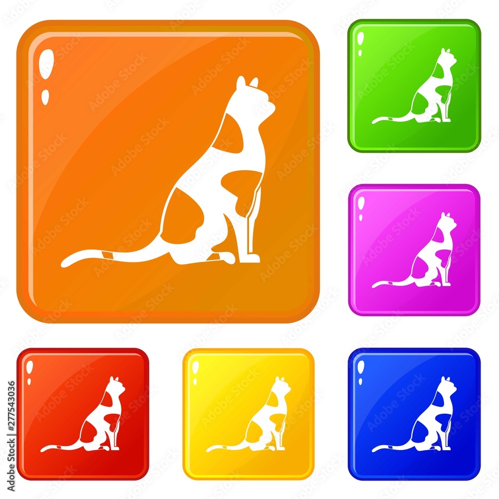 Poster sitting cat icons set collection vector 6 color isolated on white background