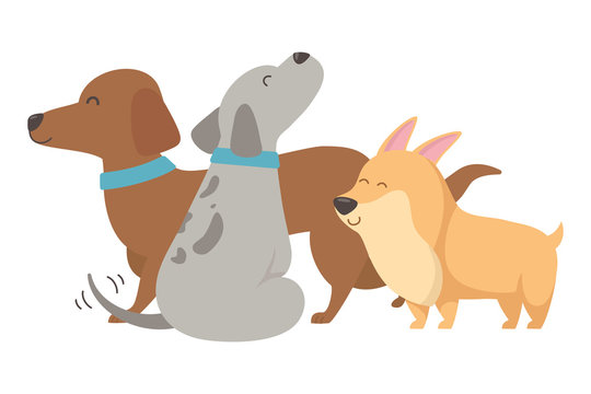 Dogs cartoons design vector illustrator