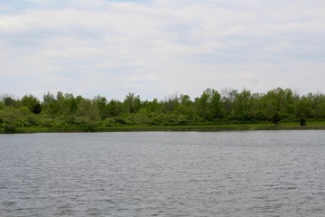 A calm view of the lake in the park on a sunny day.