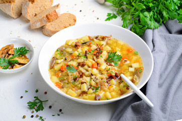 Vegetable Mushroom Soup on Bright Background