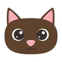 Cat cartoon design vector illustrator
